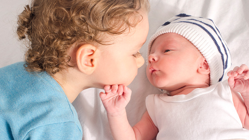 Immagine_800x450px_3