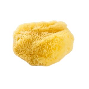 BABYVIP SPUGNA NATURALE