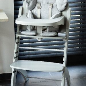 BUZZITALIA CHILDHOME SEGGIOLONE EVOLUTIVO EVOSIT + VASSOIO PER PAPPA -MENTA