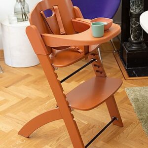 BUZZITALIA CHILDHOME SEGGIOLONE EVOLUTIVO EVOSIT + VASSOIO PER PAPPA RUGGINE