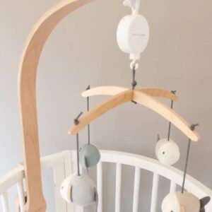 BAMBOOM GIOSTRINA IN LEGNO CON TOYS A MAGLIA - FISH